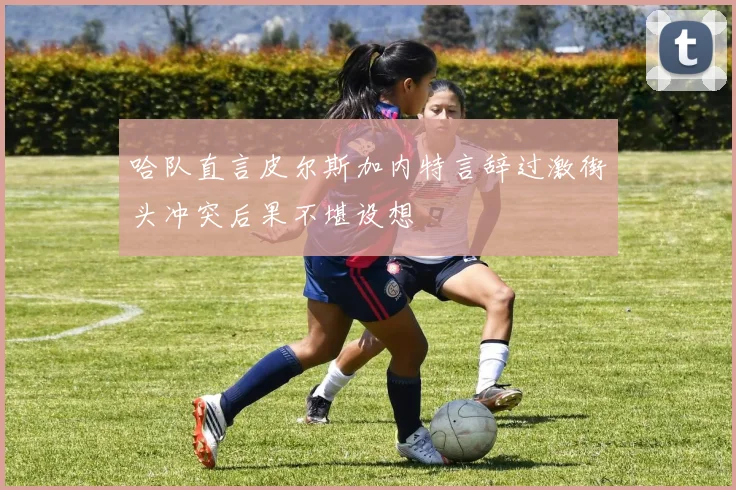 哈队直言皮尔斯加内特言辞过激街头冲突后果不堪设想
